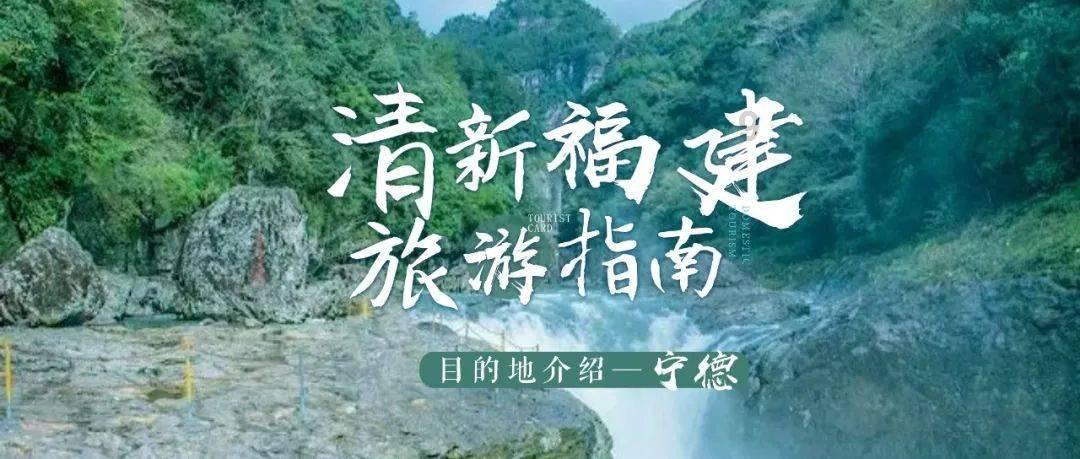 动物帮帮忙保卫家园